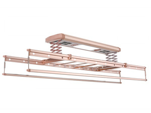 A-13 玫瑰金(jīn)